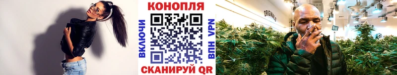 МАРИХУАНА Bruce Banner  MEGA зеркало  Новоржев 